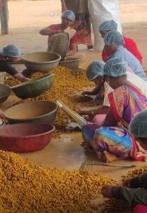 WhatsApp Image 2025-11-17 at 3.37.08 PM