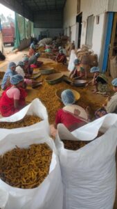 WhatsApp Image 2025-11-17 at 4.15.26 PM (1)