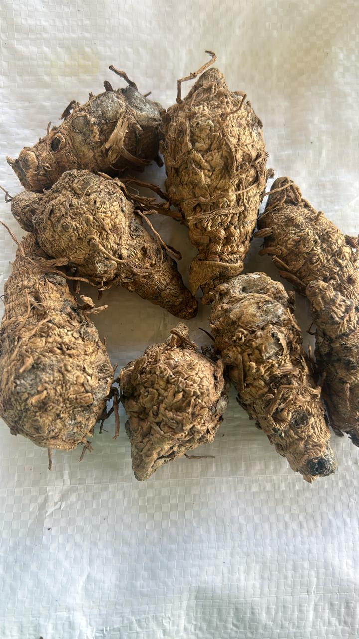 WhatsApp Image 2025-11-29 at 2.40.09 PM